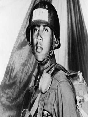 cover image of American Hero